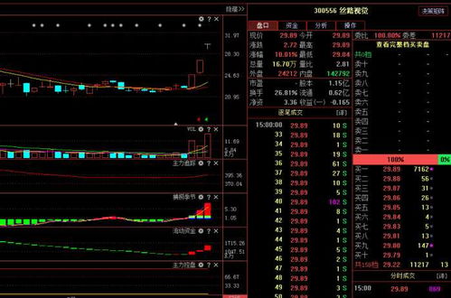 絲路視覺（300556） 主力悄然布局，計算機軟硬件業務驅動下未來走勢深度解析