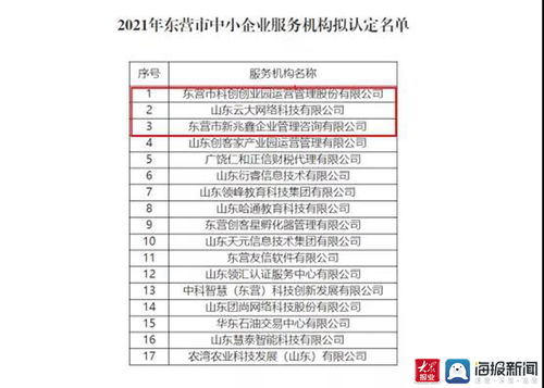 東營高新區(qū)再添新翼 三家市級中小企業(yè)服務(wù)機(jī)構(gòu)獲認(rèn)定，聚焦計(jì)算機(jī)軟硬件開發(fā)與銷售